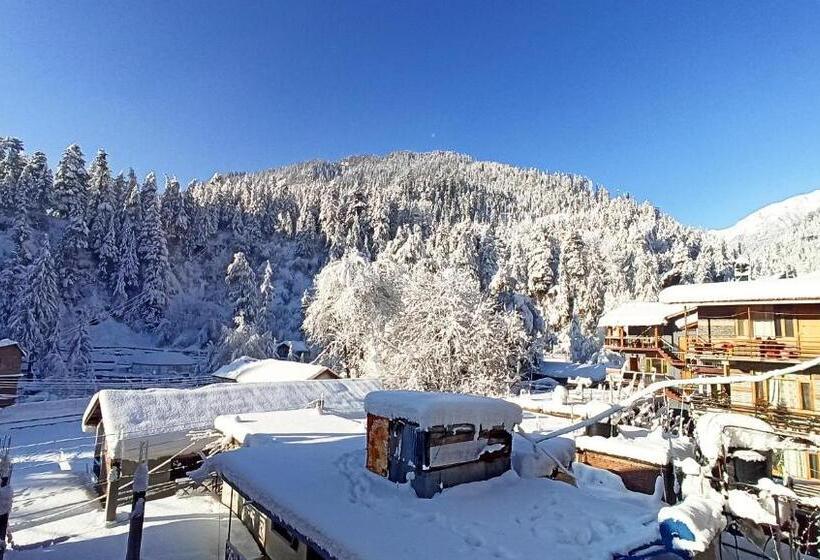 اتاق لوکس, Wood Stone Homestay