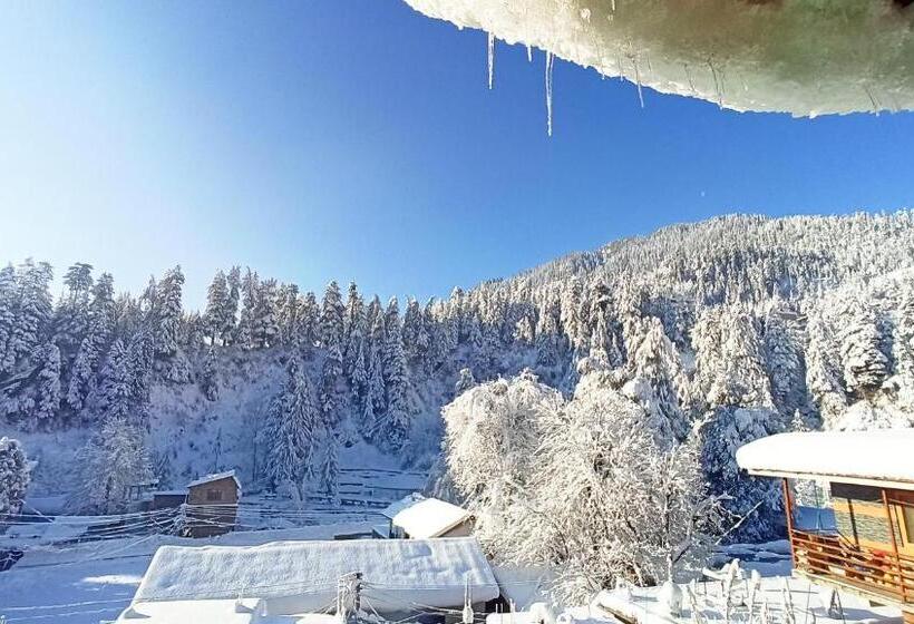 اتاق لوکس, Wood Stone Homestay