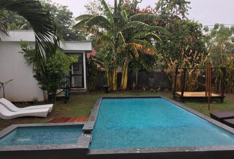 テラス付きスタンダードワンルーム, White Sands Resort