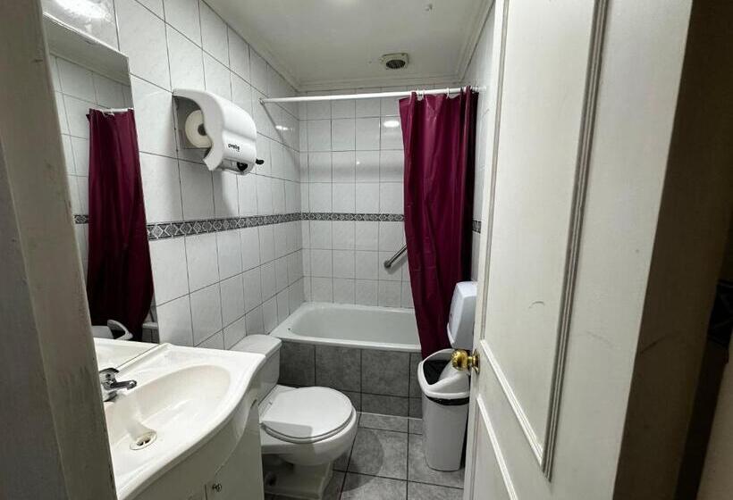 تختخواب در اتاق مشترک, Enjoy Hostel