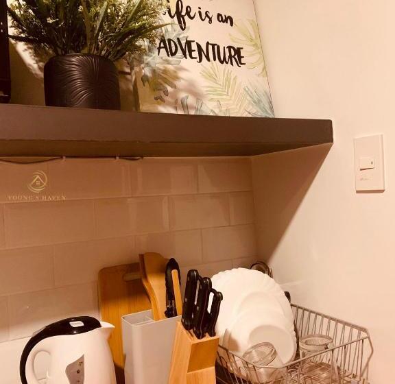 استودیوی لوکس, Young S Haven  Horizons 101 Condominium