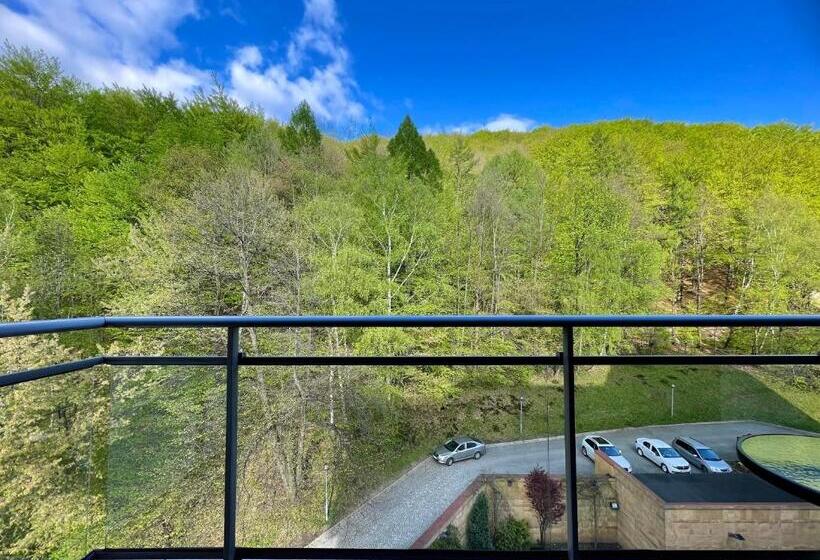 اتاق راحتی, Belweder