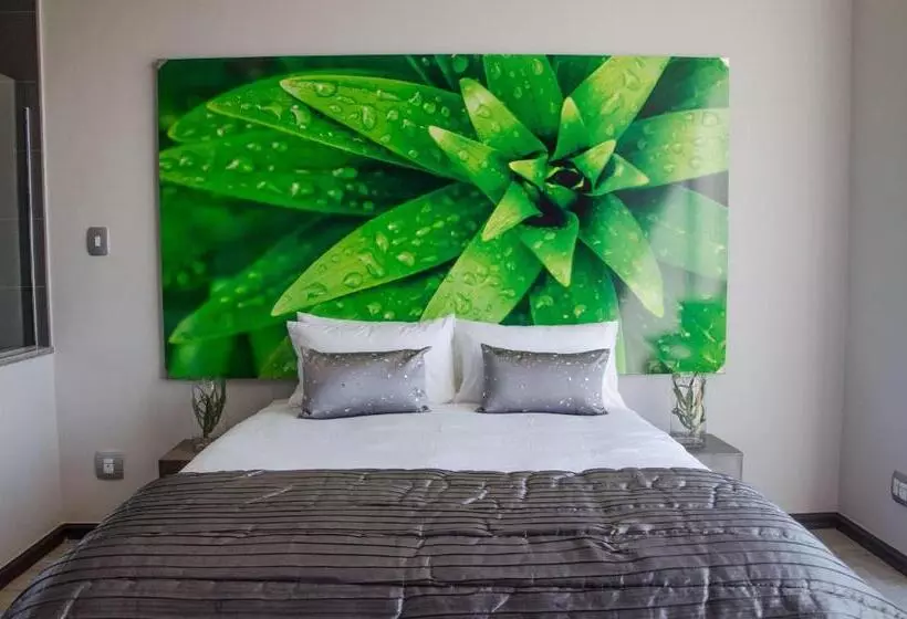 Standard-huone, Chill Pepper Boutique