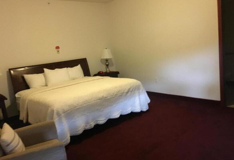 キングサイズベッドのスイートルーム, Greenwood Village Inn & Suites