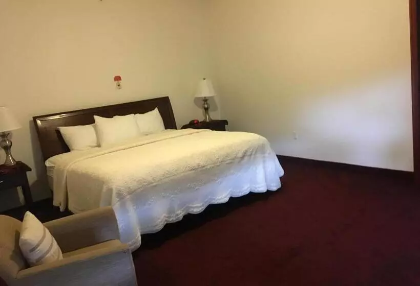 キングサイズベッドのスイートルーム, Greenwood Village Inn & Suites