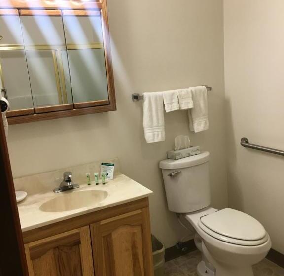 キングサイズベッドのスイートルーム, Greenwood Village Inn & Suites