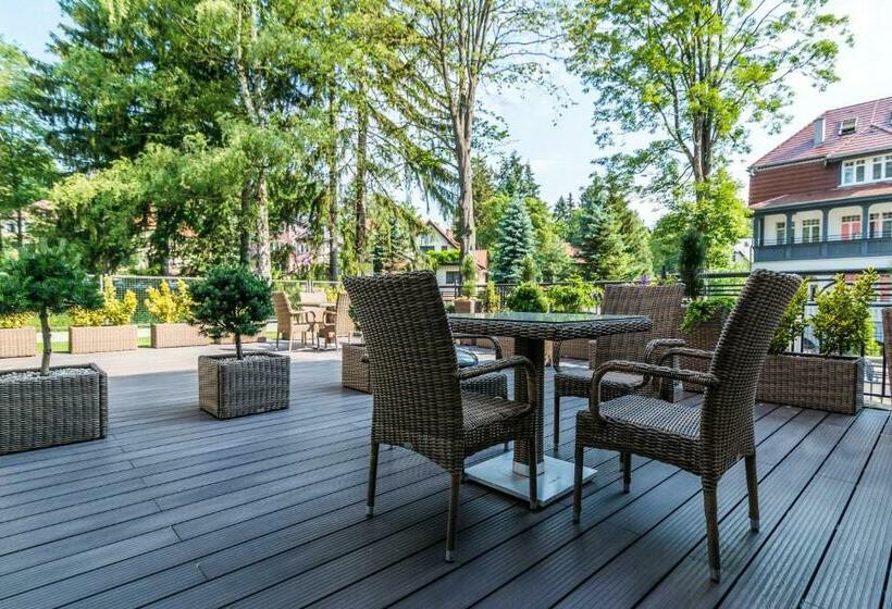 شقة ديلوكس غرفة واحدة, Villa Alina Medical Spa