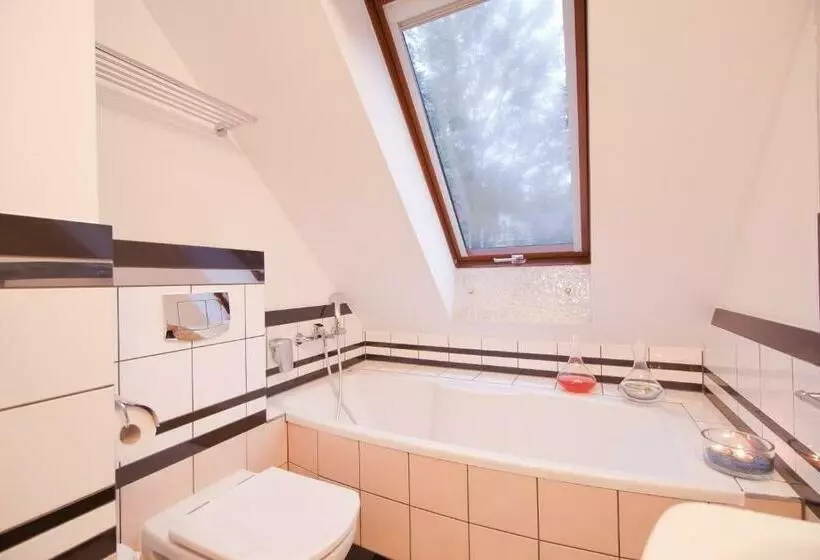 ２ベッドルームアパートメント, Villa Alina Medical Spa