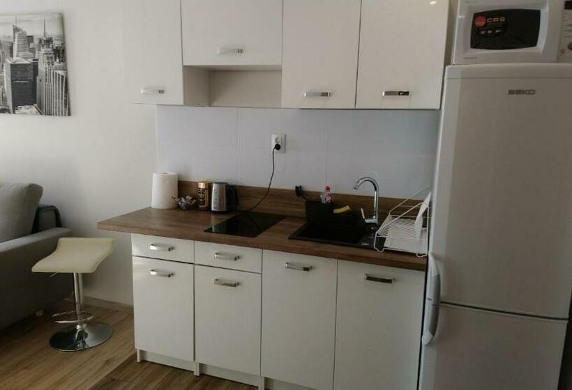 １ベッドルームアパートメント, Zajazd Ustronie