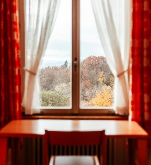 带共用浴室的标准房间, Chrischona Berg