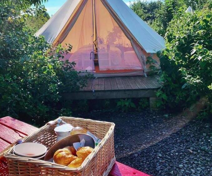 Standard Tent, The Holford Arms