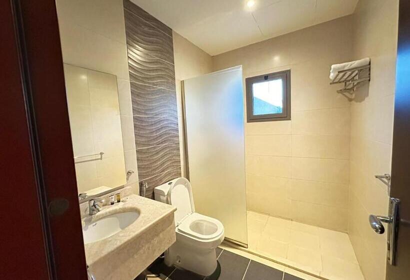 استودیوی استاندارد, The S