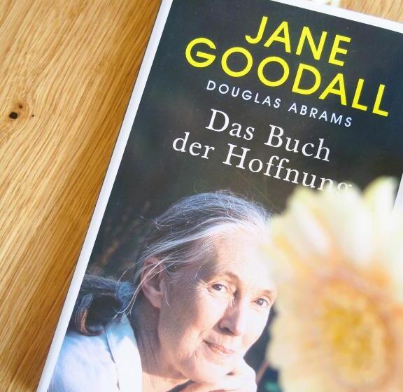 Номер Стандарт, Alte Seifensiederei   Jane