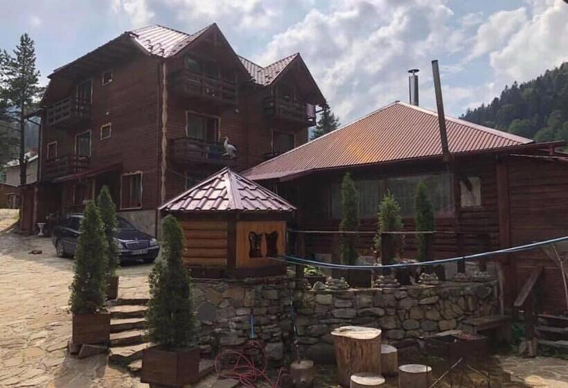 اتاق استاندارد سه نفره, Darianna