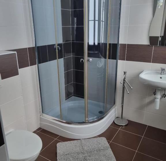 غرفة قياسية, Pension Max Klínovec