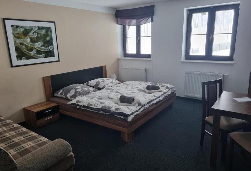 غرفة قياسية رباعية, Pension Max Klínovec