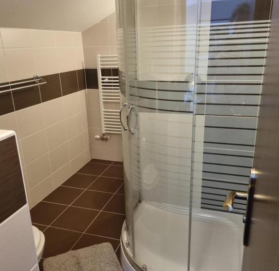 غرفة قياسية رباعية, Pension Max Klínovec