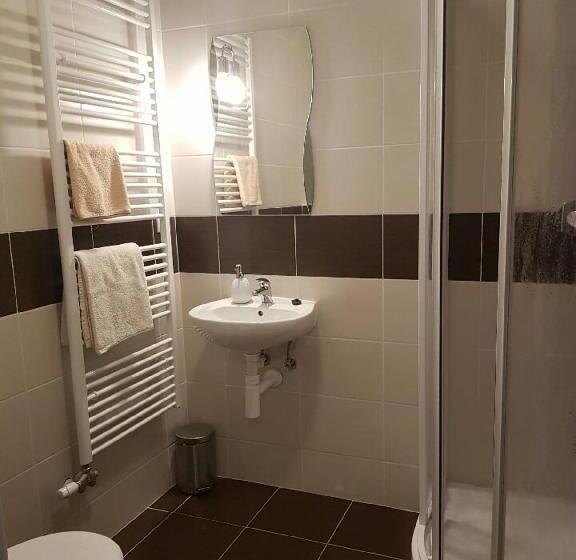 غرفة قياسية, Pension Max Klínovec