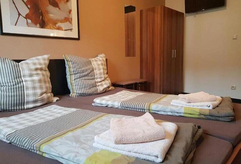 غرفة قياسية, Pension Max Klínovec