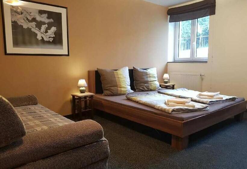 غرفة قياسية رباعية, Pension Max Klínovec