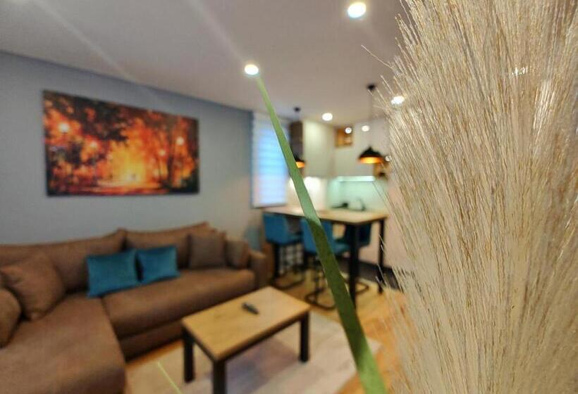 آپارتمان 1 خوابه, Velika Recepcija Cc Mtv