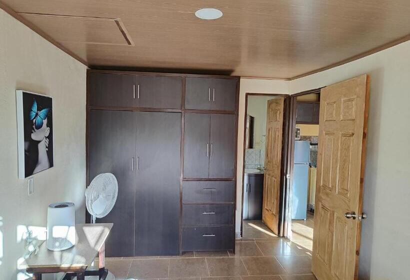 １ベッドルームのデラックスアパートメント, Aires Frescos De Boquete