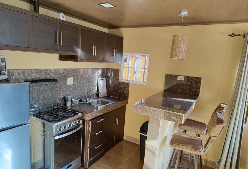 침실 1개 디럭스 아파트, Aires Frescos De Boquete