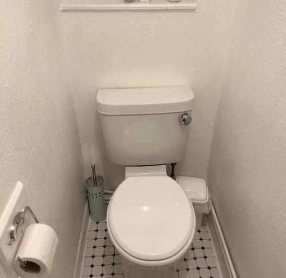 Номер Стандарт Совместная Ванная, Blue Poppy