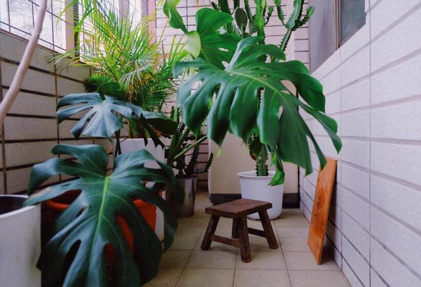 تختخواب در اتاق مشترک, Museaum 沐洋人