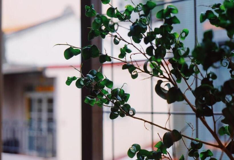 اتاق خانوادگی, Museaum 沐洋人