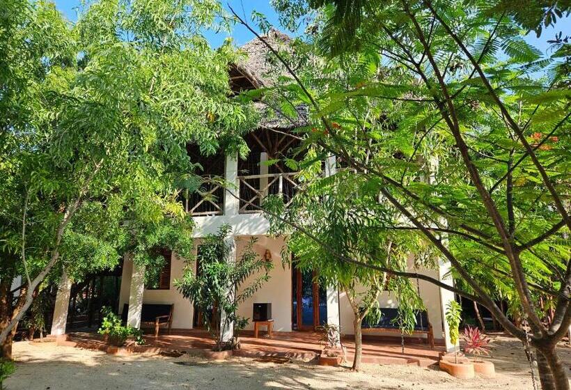 スタンダードルーム, Karibu Maisha