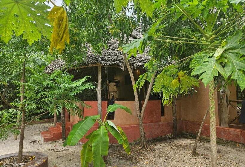 スタンダードバンガロー, Karibu Maisha