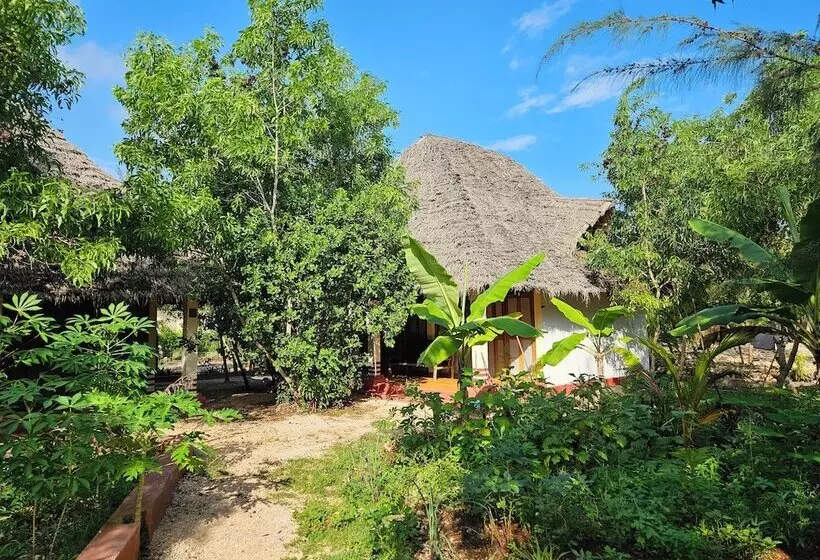 اتاق خانوادگی, Karibu Maisha