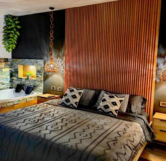 带大床的套房, Habitación Deluxe 1 Con Jacuzzi A 20mt Del Parque