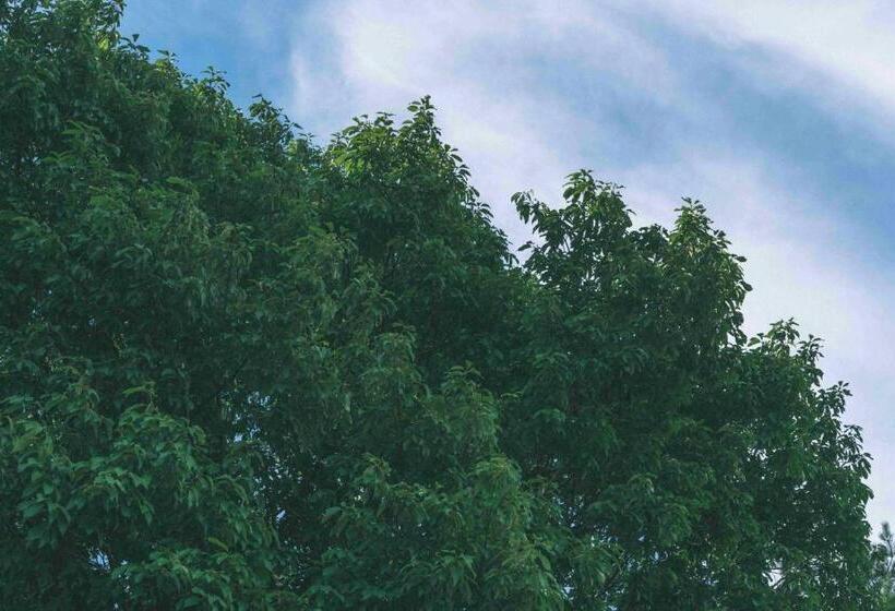 Standardrum med Terrass, Haluta Hotelli Still