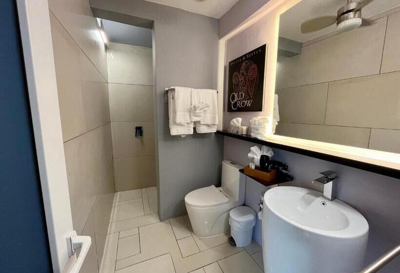 استودیوی استاندارد با چشمانداز دریا, Old Crow Hotel And Suites