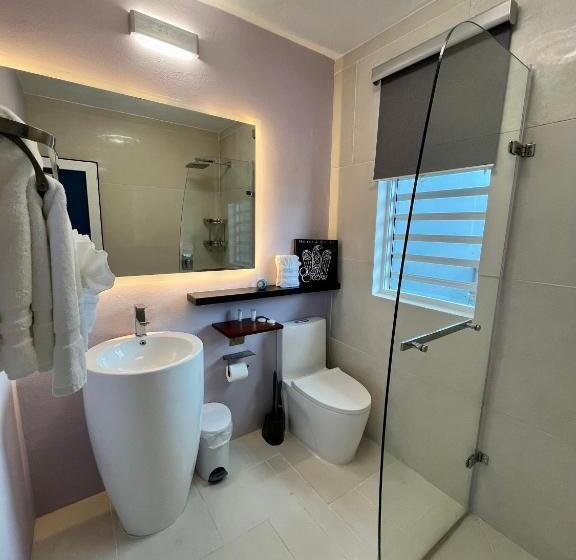 استودیوی استاندارد با چشمانداز دریا, Old Crow Hotel And Suites