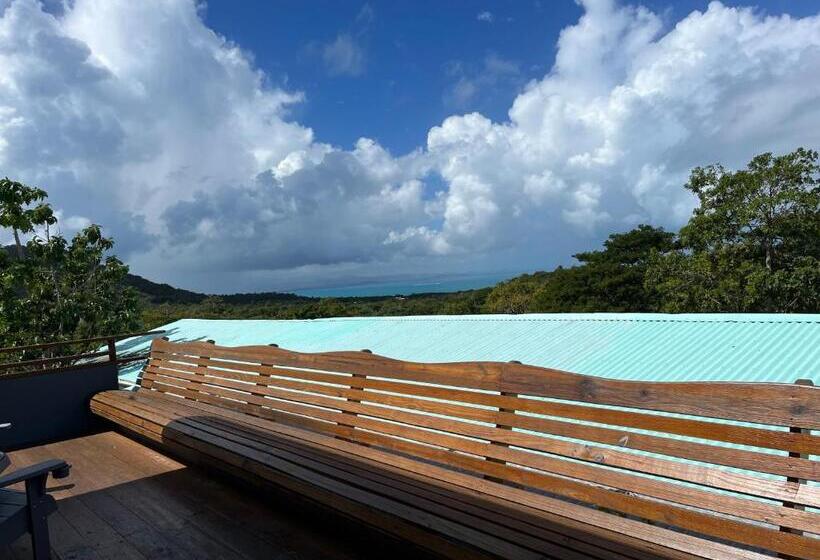 استودیوی استاندارد با چشمانداز دریا, Old Crow Hotel And Suites