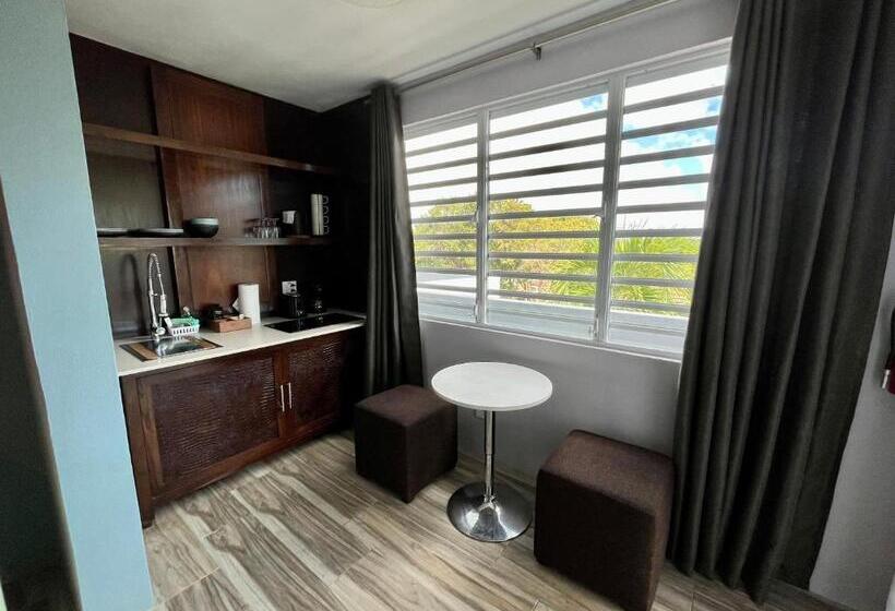 سوئیت با تخت بزرگ, Old Crow Hotel And Suites