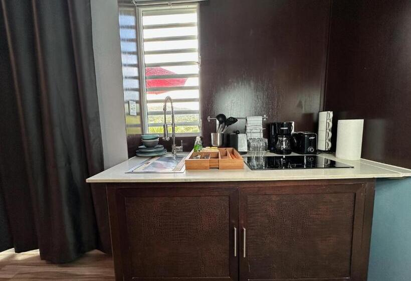 سوییت با چشمانداز باغ, Old Crow Hotel And Suites