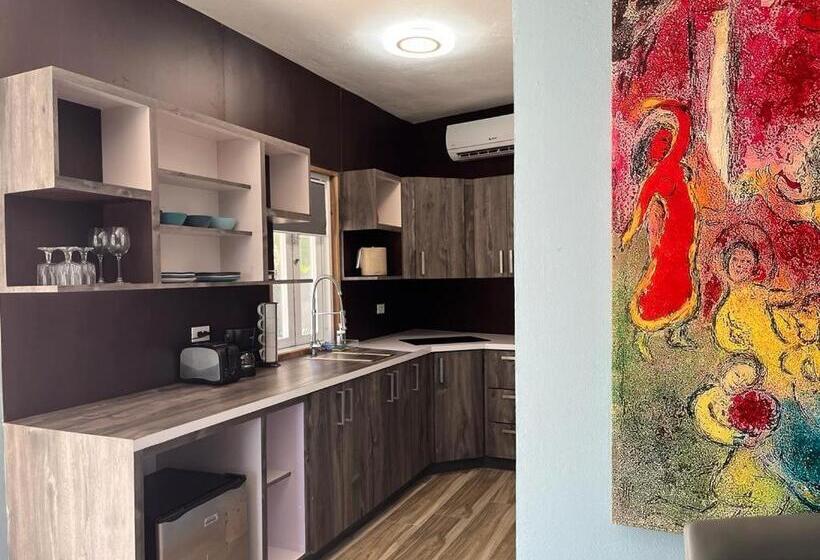 آپارتمان 1 خوابه, Old Crow Hotel And Suites