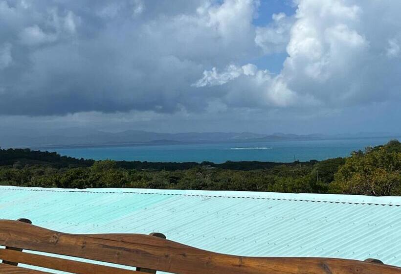 استودیوی استاندارد با چشمانداز دریا, Old Crow Hotel And Suites