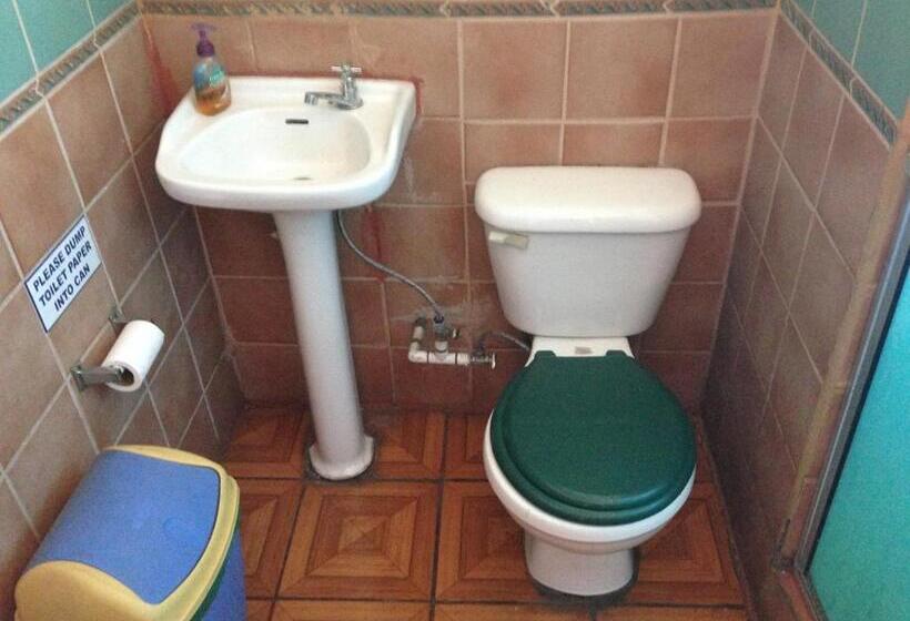 غرفة قياسية, Beans & Coffee Lodge