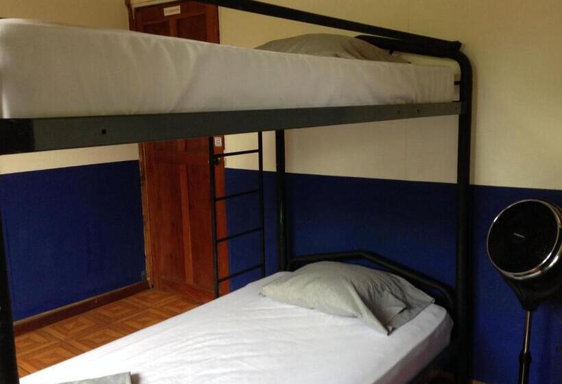 غرفة قياسية, Beans & Coffee Lodge