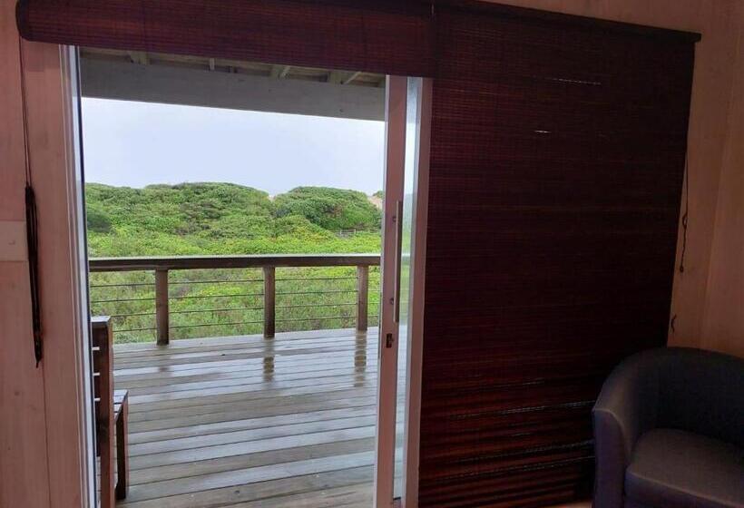 غرفة ديلوكس, Pebbles & Sunsets