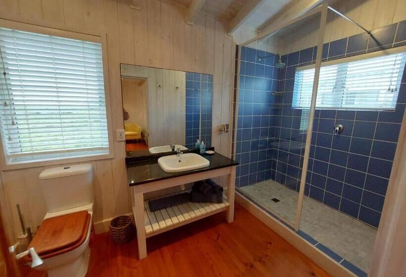 غرفة كلاسيكية, Pebbles & Sunsets