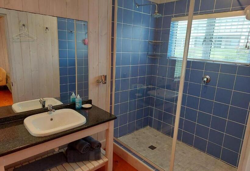 غرفة كلاسيكية, Pebbles & Sunsets