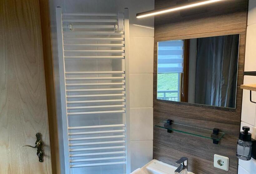 Quarto standart com terraça, Vogelbacher Hof   Dachsberg Im Südschwarzwald