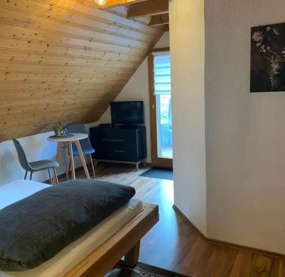Standard-huone Terassi, Vogelbacher Hof   Dachsberg Im Südschwarzwald