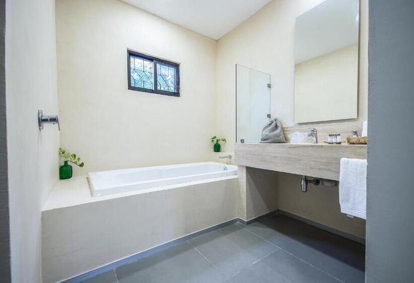 Люкс Повышенной Комфортности, Boutique Casa Xaan
